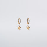 Starfish Earrings