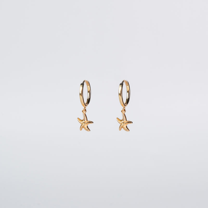 Starfish Earrings